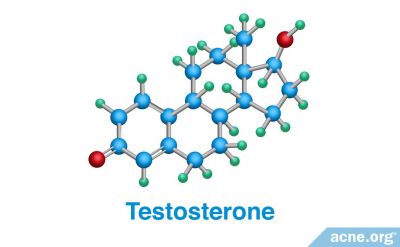 The Role of Testosterone in Acne
