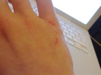 post-170116-0-32849100-1335651082_thumb.