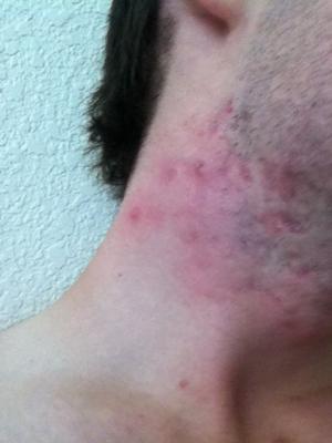 post-180640-0-26513400-1352934621_thumb.