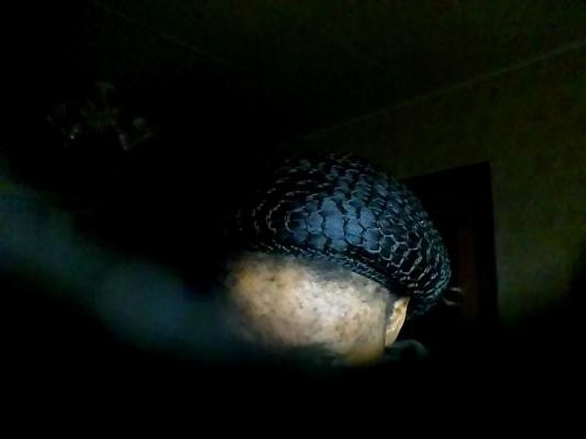 post-190167-0-62853600-1353010116_thumb.