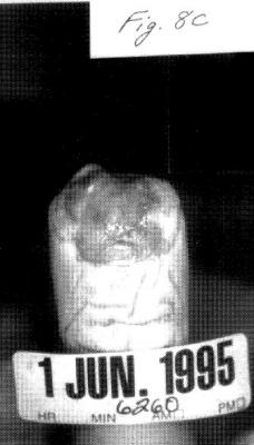 post-193340-0-32079700-1366928659_thumb.
