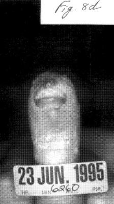 post-193340-0-47949000-1366928666_thumb.