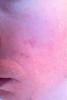 post-366612-0-56017000-1387372862_thumb.