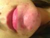 post-58369-0-10764300-1379292209_thumb.j
