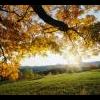 Sunset1