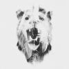 maeson